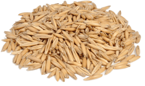 Зерновые — Овес 30 кг — фото