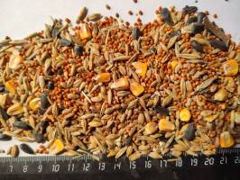 Зерновые — Зерносмесь 30кг — фото