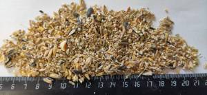 Зерновые — Зерносмесь дроблёная 30кг — фото