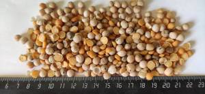 Зерновые — Горох кормовой 40кг — фото