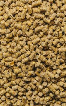 Комбикорм для бройлеров в возрасте 5 и старше недель ФИНИШ (гранула) Южная Корона — фото-506_3