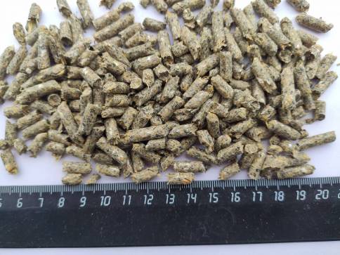 Комбикорм для свиней "ЭКОНОМ СК-8” Шуя — фото-513_2