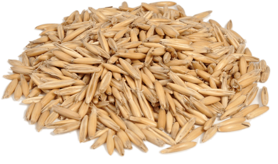 Овес 30 кг — фото-527_1