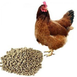 Комбикорм ПК-1 для кур-несушек (мешок 40 кг) «Истра-хлебопродукт» — фото-505_1