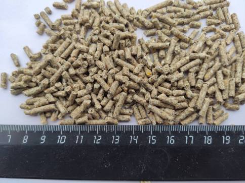 Комбикорм для яйценоской птицы “БАЛАНС” гранула Шуя — фото-505_2