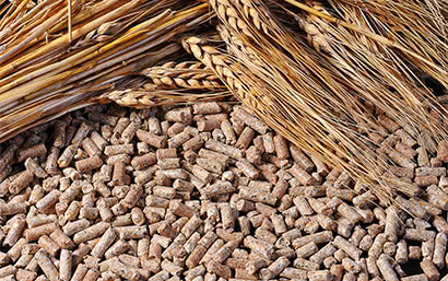 Каталог — Новые модели продукции — фото